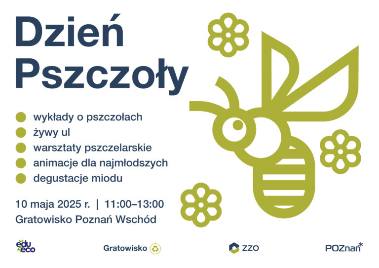 Pszczoły w centrum uwagi! Poznań świętuje ich dzień – moc atrakcji dla mieszkańców