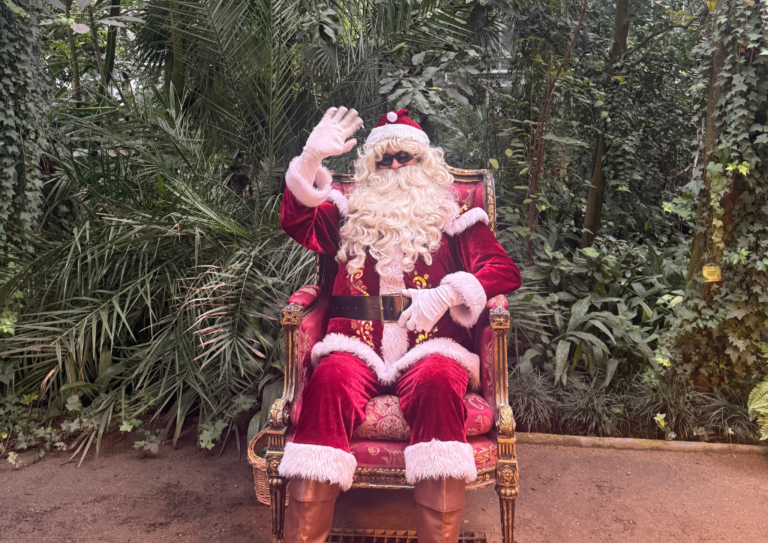 Ekomikołajki w Palmiarni Poznańskiej