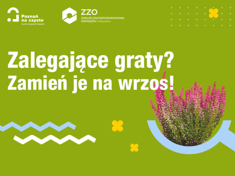 Przynieś odpady — odbierz sadzonkę wrzosu, czyli świętujemy Międzynarodowy Dzień Napraw